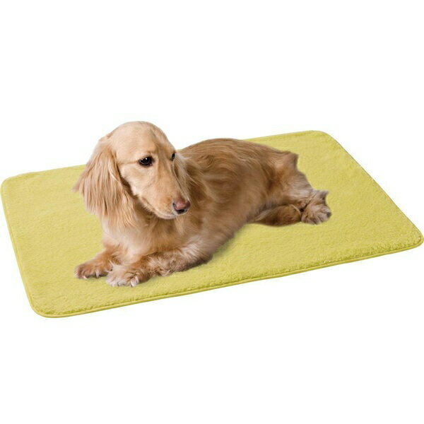 マルカン 抗菌ふわふわ毛布ワイド