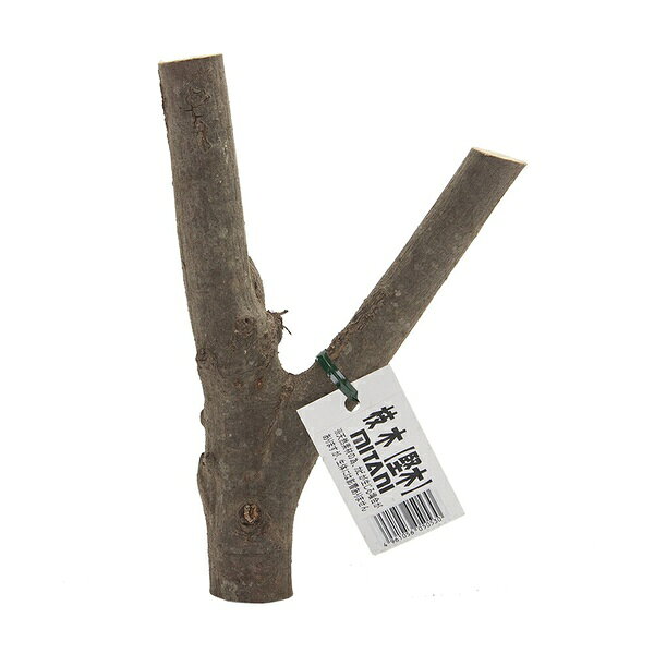 【20個セット】 ミタニ 枝木 堅木