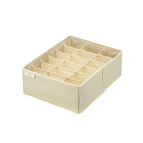 テンマ 天馬 (Tenma) せいとんボックス Lサイズ (仕切り18マス) 33Lx24Wx11Hcm