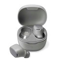 【3個セット】 PGA PG-BTE17TW3GY 完全ワイヤレス ステレオイヤホン カナルタイプ グレー(2)