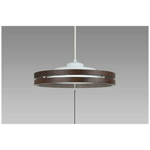 ホタルクスHCDB0854LEDペ...