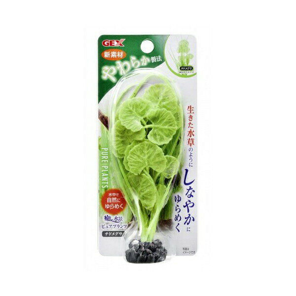 【3個セット】 ジェックス やわらかいシリコン製プランツ 癒し水景 ピュアプランツ チドメグサ GE ...