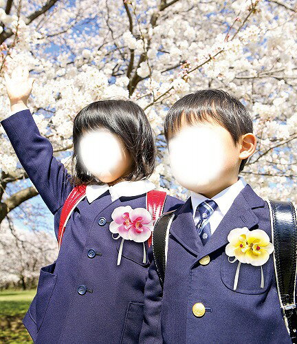 アーテック ArTec コサージュ 胡蝶蘭 ピンク こども 幼稚園 おしゃれ 卒園 体育祭 ...