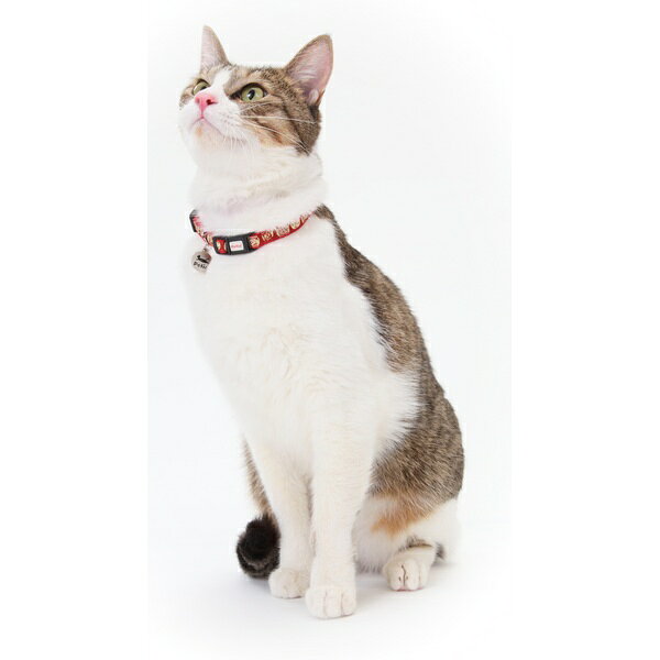 【10個セット】 ペティオ 猫小町カラー 手まり ガーネット