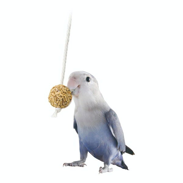 むさしのメディア 楽天市場店の【6個セット】 マルカン インコのシリアルボール カルシウムプラス 5個｜アングル3