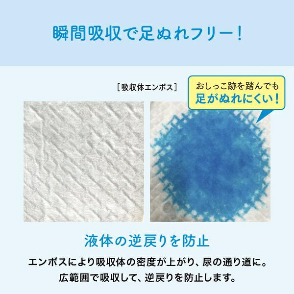 サンプル画像3