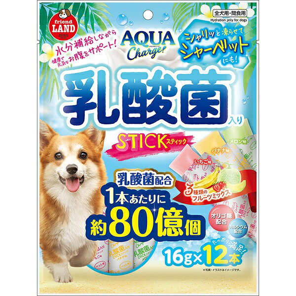 【10個セット】 マルカン アクアチャージ 乳酸菌入りスティック 16g×12本