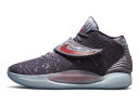 バスケットシューズ バッシュ バレンタインデー ナイキ Nike KD 14 NRG Valentine Day Multi