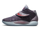 oXPbgV[Y obV o^Cf[ iCL Nike KD 14 NRG Valentine Day Multi