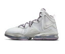 oXPbgV[Y obV iCL Nike Lebron 19 EP Strive For Greatness Gray/Purple