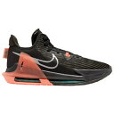 バスケットシューズ バッシュ ウイットネス ナイキ Nike LEBRON WITNESS 6 Black/Metallic Silver/Sequia