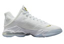 oXPbgV[Y obV ^C^ iCL Nike Lebron 19 Low xTitan White/Gold