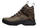 シューズ スニーカー ナイキ Nike ACG ZOOM GAIADOME GORE-TEX Brown/Black ストリート