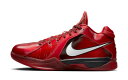 バスケットシューズ バッシュ オールスター ナイキ Nike Zoom KD 3 All Star Red