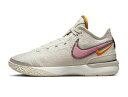 バスケットシューズ バッシュ ナイキ Nike Zoom LeBron NXXT GEN L.Brown/ Sail/Org