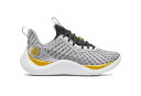 バスケットシューズ バッシュ アンダーアーマー UnderArmour Curry 10 Young Wolf Grey/Black/Gold