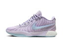 oXPbgV[Y obV iCL Nike Lebron 21 Easter Grape/Lilac Bloom/Blue