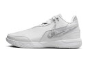 oXPbgV[Y obV iCL Nike Zoom LeBron NXXT GEN AMPD White/L.Gray
