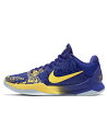 バスケットシューズ バッシュ ナイキ Nike Kobe V Protro 5 Rings Concordo/Midweat Gold