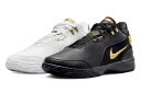 バスケットシューズ バッシュ エクイティ ナイキ Nike Zoom LeBron NXXT GEN AMPD Black/White/Gold
