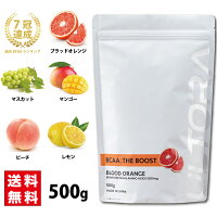 BCAA ザ ブースト 選べる5フレーバー 500g 国産 アミノ酸 必須アミノ酸 で トレー...