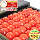 【2019 父の日ギフト/お届け日時指定OK 】父の日 プレ...