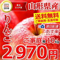 りんご 山形県産 ふじ(サンふじ) ご家庭用 生食用