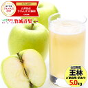 【2020/あす楽対応】山形県産 ご家庭用 青りんご 王林 ...