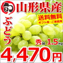 【予約】山形県産 ブドウ シャインマスカット 1.5kg(秀...