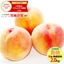 【2019/予約】ギフト 山形県産 黄桃 2kg(秀品/無袋