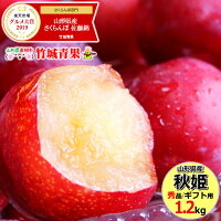 山形県産 すもも 秋姫 1.2kg(秀品/6玉〜10玉前後)