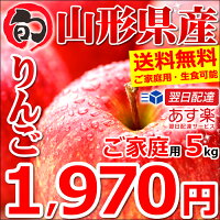 りんご 山形県産 ふじ(サンふじ) ご家庭用 生食用