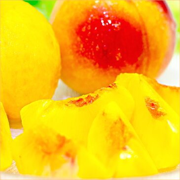 【8月下旬〜日時指定OK】ギフト 山形県産 黄桃 2kg(秀品/有袋栽培/5玉〜8玉入り/キャップ・トレー仕様)【山形産/もも/モモ/桃/ギフト/贈り物/プレゼント/夏ギフト/敬老の日/果物/フルーツ/人気/売れ筋/産地直送/送料無料/山形県/お取り寄せ】