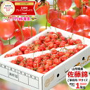 【2年連続グルメ大賞受賞店】 当店ご家庭用人気No,2! 訳...