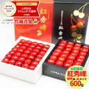 【2020/予約】さくらんぼ 紅秀峰 600g (露地/特秀...