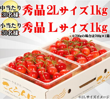 【2020/予約】当たり付き さくらんぼ 佐藤錦 1kg (露地/秀品/Mサイズ/ばら詰め)【露地物/山形県産/サクランボ/果物/フルーツ/ギフト/贈り物/贈答品/人気/売れ筋/ランキング入賞/山形県/お届け日時指定OK/送料無料/お取り寄せ/あす楽対応】