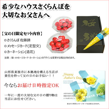 【2020/あす楽対応】父の日 プレゼント さくらんぼ 佐藤錦 (秀品/Mサイズ/100g×2パック)【父の日にぴったり/山形県産/ギフト/贈り物/花 /カーネーション/メッセージカード/食べ物/フルーツ/山形県/お取り寄せ】