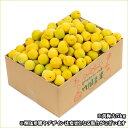 【7月上旬から順次出荷予定】山形県産 青梅 5kg【 山形産 青梅 黄梅 生梅 梅 うめ ウメ 梅酒 梅干し 梅ジュース 梅シロップ 梅ジャム 白加賀梅 節田梅 豊後梅 南高梅 産地直送 送料無料 山形県 お取り寄せ 人気 旬 わけあり 訳あり 加工用 手作り 】 3