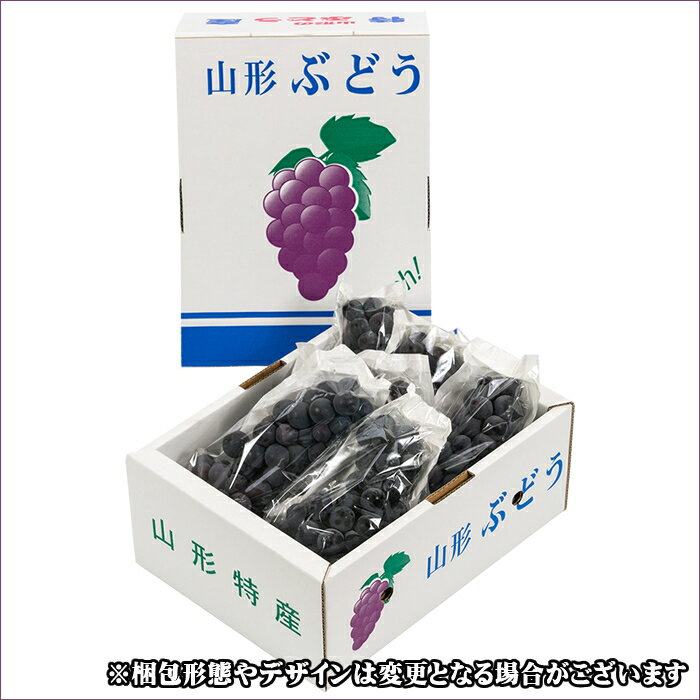 【8月下旬から順次出荷予定】山形県産 ブドウ スチューベン 2kg(ご家庭用/3房〜10房)【 山形産 ぶどう ブドウ 葡萄 ご自宅用 ご家庭用 お得 訳あり わけあり お試し 果物 フルーツ 人気 産地直送 送料無料 山形県 お取り寄せ 懐かしい 東北 】