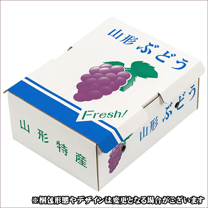 【8月下旬から順次出荷予定】山形県産 ブドウ スチューベン 2kg(ご家庭用/3房〜10房)【 山形産 ぶどう ブドウ 葡萄 ご自宅用 ご家庭用 お得 訳あり わけあり お試し 果物 フルーツ 人気 産地直送 送料無料 山形県 お取り寄せ 懐かしい 東北 】