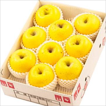 【あす楽対応/出荷中】訳あり りんご シナノゴールド 3kg(ご家庭用/7玉〜11玉入り)【山形産/りんご/リンゴ/林檎/果物/フルーツ/山形県/送料無料/お取り寄せ】