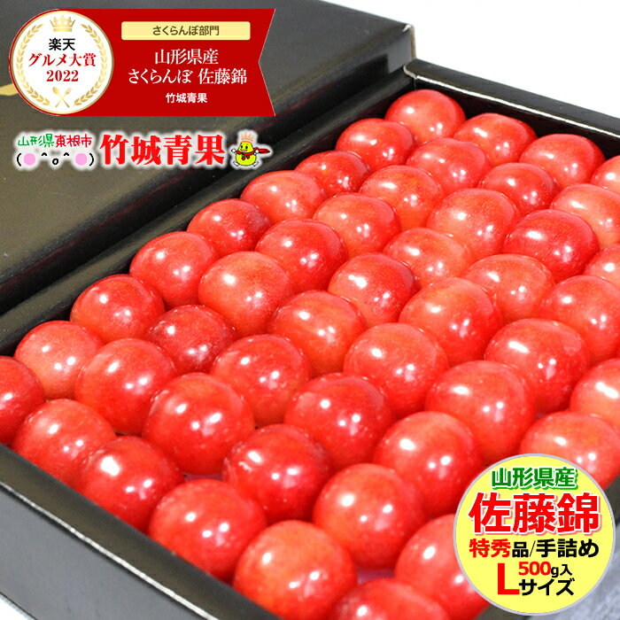 お中元 ギフトさくらんぼ 佐藤錦 500g (露地/特秀品/Lサイズ/手詰め/化粧箱)