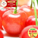 【6月中旬〜出荷開始】さくらんぼ 佐藤錦 1kg (露地/秀品/2Lサイズ/ばら詰め)【日時指定OK 露地物 山形県産 サクランボ 果物 フルーツ ギフト 贈り物 贈答品 人気 売れ筋 ランキング入賞 山形県 送料無料 プレゼント お取り寄せ】