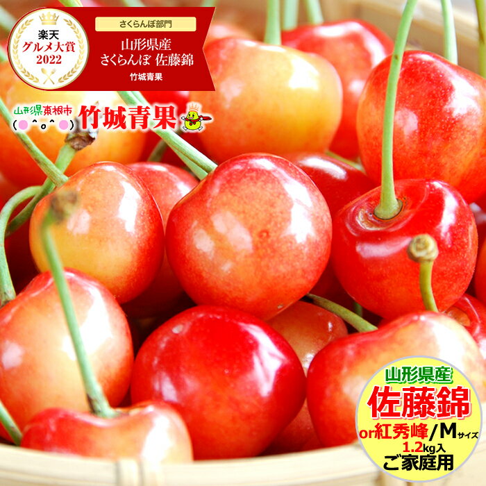 【6月下旬〜出荷開始】ご家庭用 さくらんぼ 佐藤錦or紅秀峰 1.2kg (露地/Mサイズ/バラ詰め/フードパック)【露地物/訳あり/山形県産/サクランボ/果物/フルーツ/人気/売れ筋/ランキング入賞/山形県/お取り寄せ】