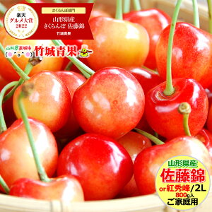 【6月下旬〜出荷開始】ご家庭用 さくらんぼ 佐藤錦or紅秀峰 800g (露地/2Lサイズ/バラ詰め/フードパック)【露地物/訳あり/山形県産/サクランボ/果物/フルーツ/人気/売れ筋/ランキング入賞/山形県/お取り寄せ】