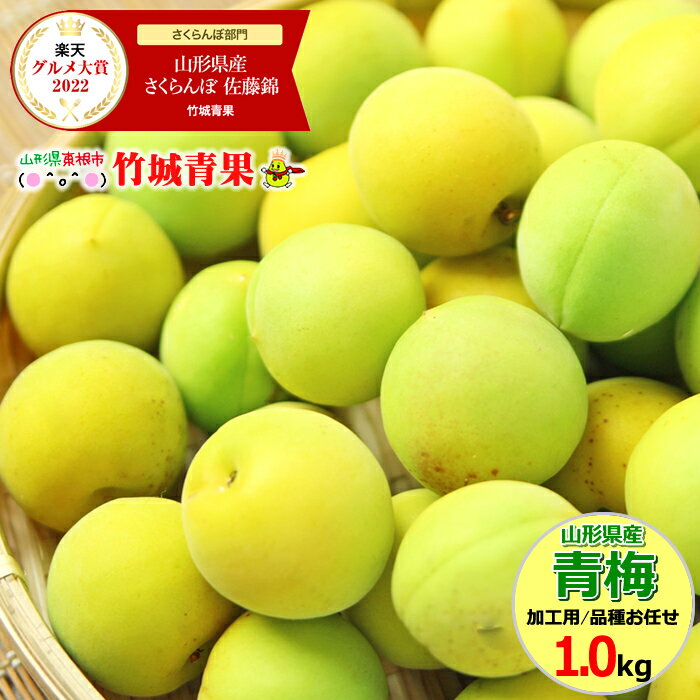 【7月上旬〜出荷開始】山形県産 青梅 1kg【山形産 青梅 生梅 梅 梅干し 梅シロップ 梅ジャム 白加賀梅 節田梅 豊後梅 南高梅 産地直送 送料無料 山形県 お取り寄せ 人気 旬】