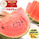 【7月上旬から順次出荷予定】山形県産 小玉すいか 8kg(秀品/3〜7玉入り)※日時指定はメールで※【 山形産 すいか スイカ 西瓜 小玉スイカ 御中元 お中元 夏 ギフト 送料無料 暑中見舞い 残暑見舞い プレゼント 果物 フルーツ 人気 産地直送 お取り寄せ 贈り物 】