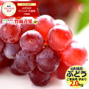 【8月上旬から順次出荷予定】山形県産 ブドウ デラウェア 2kg(ご家庭用/8房〜16房)※日時指定はメールで※【山形産 ぶどう ブドウ 葡萄 ..