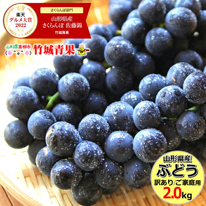 【8月下旬〜出荷開始】山形県産 ブドウ キャンベル 2kg(ご家庭用/3房〜10房)【山形産 ぶどう 葡萄 ご自宅用 ご家庭用 お得 訳あり わけあり お試し 果物 フルーツ 人気 産地直送 送料無料 山形県 お取り寄せ】