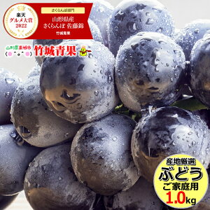 【9月中旬〜日時指定OK】産地厳選 ブドウ ナガノパープル 1kg(ご家庭用/1房〜4房)【ぶどう 葡萄 ギフト 贈り物 果物 フルーツ 人気 売れ筋 ランキング 産地直送 送料無料 お取り寄せ】